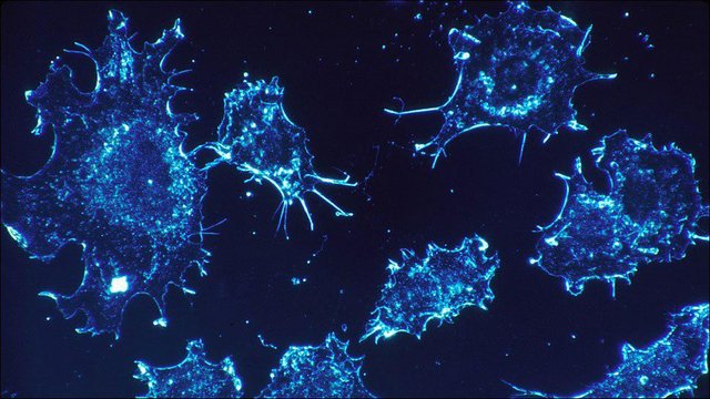 ساخت کمپلکس‌های مولکولی به تصویربرداری از سلول‌های سرطانی کمک می‌کند