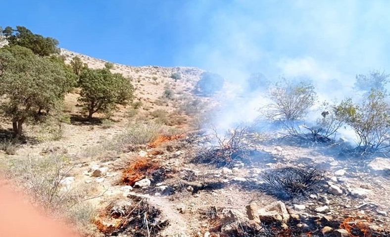 آتش سوزی‌های سریالی دامن جنگل‌های زاگرس را هم گرفت / مهار آتش با تلاش نیرو‌های امدادی و مردمی