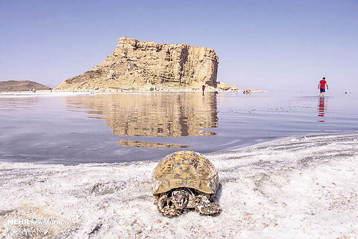 احتمال بروز توفان‌های نمکی با کاهش شدید سطح آب دریاچه ارومیه/ خطر انقراض گونه‌های حیات وحش به خاطر شرایط نامناسب دریاچه