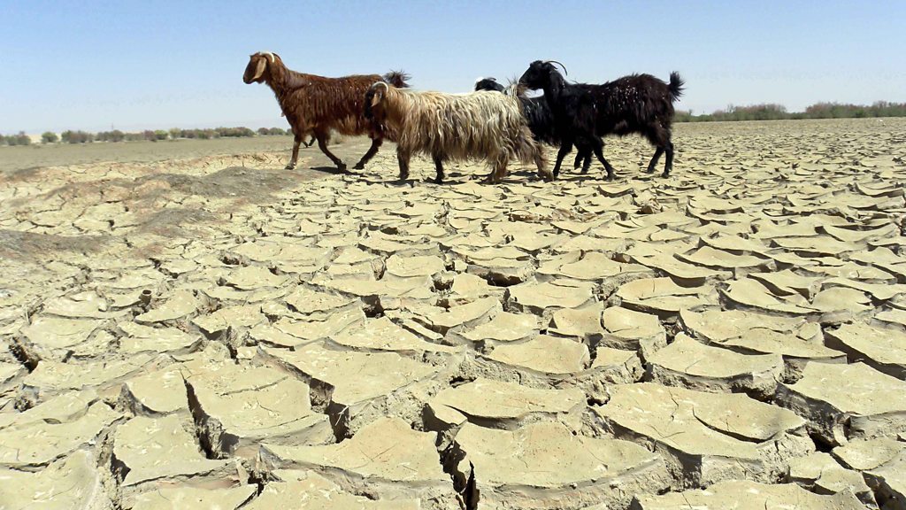 خشکسالی‌های چهارمحال و بختیاری به پاییز کشیده شد/ پیامد‌های ناگواری کم آبی بر محیط‌زیست و فعالیت‌های اقتصادی استان