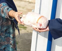توزیع گوشت و مرغ به مناطق محروم استان کهگیلویه و بویراحمد توسط گروه‌های جهادی