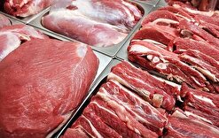 واردات گوشت گرم انجام شد/ تزریق روزانه ۶۰ تن گوشت وارداتی به بازار