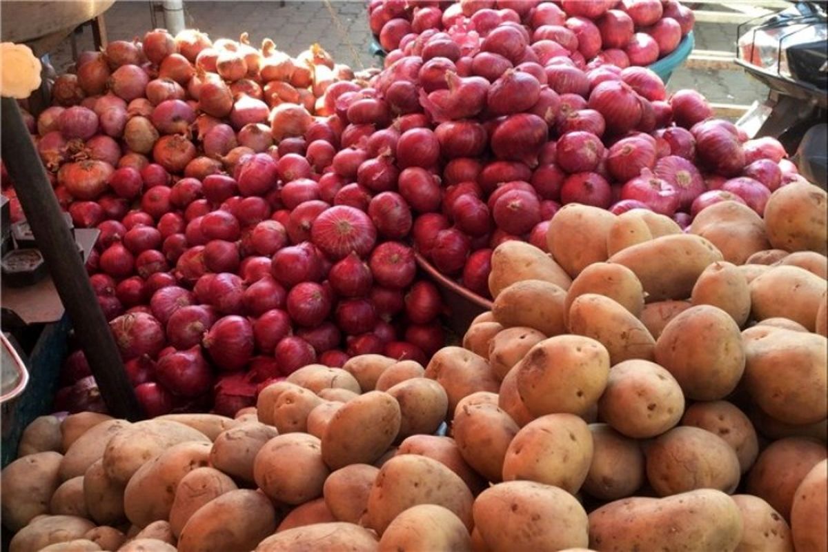 قیمت عمده فروشی میوه و سبزیجات / نرخ پیاز در حال کاهش است