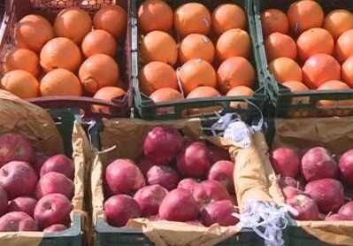 محدودیت صادرات سیب و پرتقال در اسفند