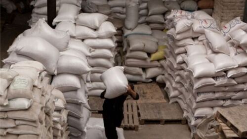 ماجرای قاچاق آرد، از بی توجهی به کشاورزی تا ارز ترجیحی