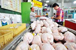 آرامش در بازار مرغ و تخم‌ مرغ/ قیمت مرغ ۱۰ هزار تومان کاهش یافت