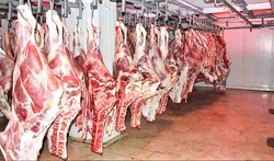 طی روز‌های آینده قیمت گوشت قرمز به قیمت‌های قبل بر می‌گردد
