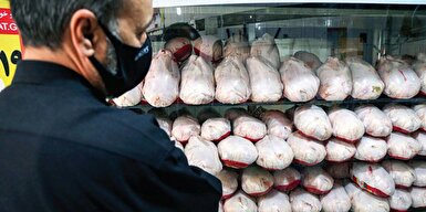 قیمت عرضه عمده مرغ در میدان بهمن تهران به ۳۷ تا ۴۰ هزار تومان رسیده است