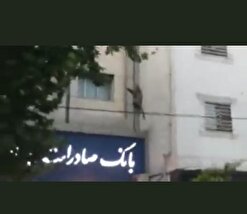پلنگ قائم شهر زمین گیر شد+ فیلم