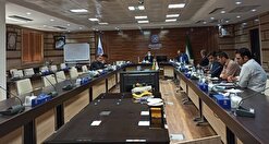 صادقی: دانشگاه کردستان پذیرای حدود ۸۰۰ دانشجوی خارجی از ۷ ملیت مختلف است