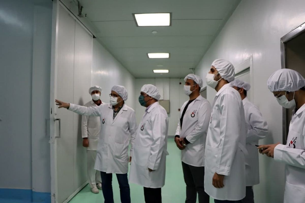 برای اولین بار در جهان، تنها محصول دارویی نانو در حوزه دام پزشکی تولید شد + فیلم