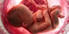 آیا سازمان پزشکی قانونی به دنبال رسمیت دادن به سقط جنین غیرقانونی است؟