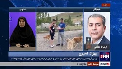 یک مقام وزارت بهداشت: هاری درمان ندارد/ سال گذشته ۱۶ نفر بر اثر هاری فوت کردند