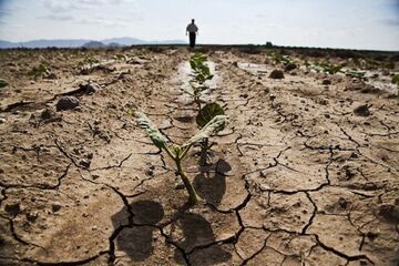 کشاورزی، متهم به بلعیدن منابع آب / رد یک فرضیه‌ اشتیاه