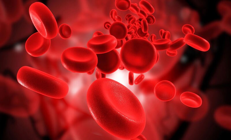 کشف یک گروه خونی نادر و جدید