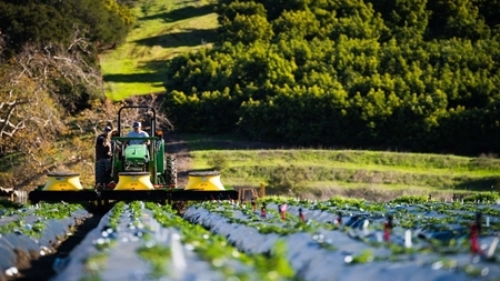 3 دانشگاه با ورود به حوزه زراعت و باغبانی به تامین امنیت غذایی کمک می‌کنند