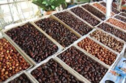 عرضه خرمای تنظیم بازاری از امروز