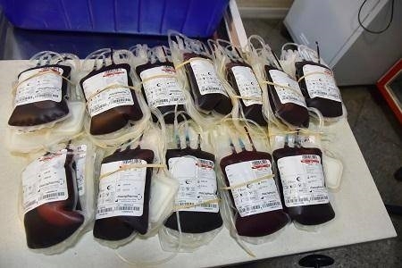 رشد 4 درصدی آمار اهدای خون در 9 ماه سال 1402