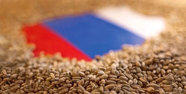 صادرات مواد غذایی در روسیه رکورد زد