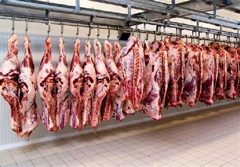 عرضه گوشت قرمز کاهش پیدا کرده / دام زنده از کشور قاچاق می‌شود