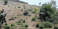 رفع تصرف ۶۵ هکتار از اراضی ملی استان البرز