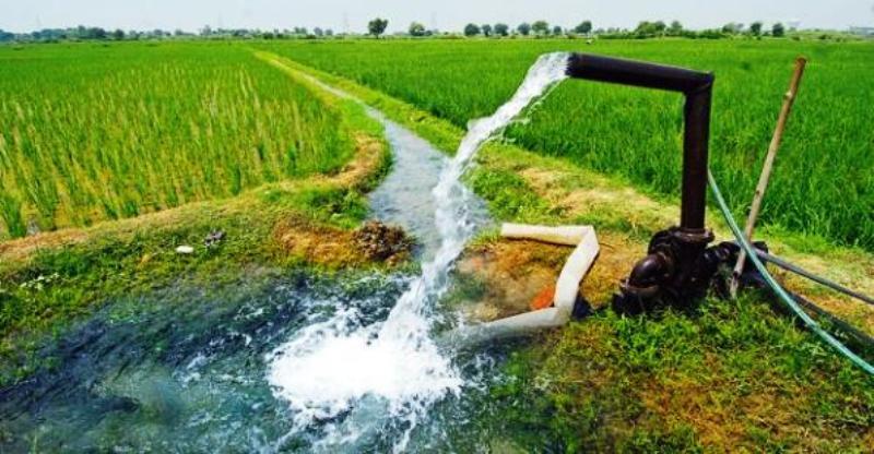 برنامه هفتم توسعه در حوزه آب تا چه میزان واقعی است؟ / بی توجهی سیاستگذار به اصلاح الگوی کشت