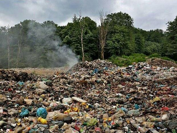 مشکل ۱۵ ساله دپوی زباله در جنگل‌های هیرکانی سوادکوه حل شد