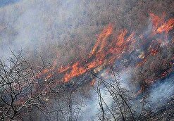 ۶۰ هکتار از اراضی جنگلی و ارتفاعات گیلان در آتش سوخت