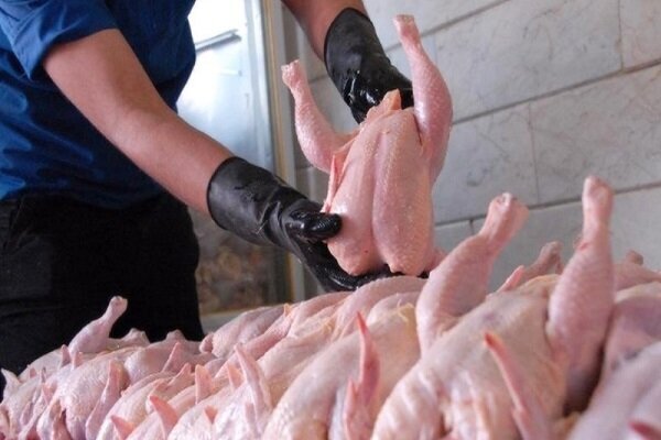 عرضه روزانه 440 تن گوشت مرغ در میدان بهمن
