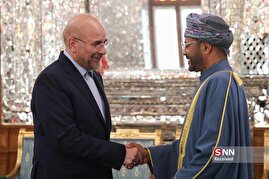 دیدار وزیر امور خارجه عمان با رئیس مجلس
