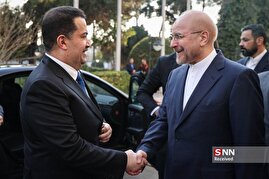 دیدار نخست وزیر عراق با رئیس مجلس شورای اسلامی