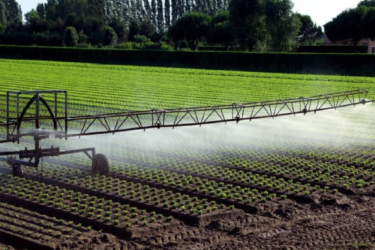 بحران بیابان‌زایی؛ شناسایی ۲۰۰ هزار هکتار کانون گرد و غبار در قم/ طبق نظر آقای پهلوانی منتشر شود