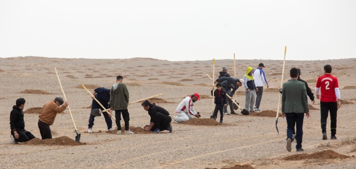 بحران بیابان‌زایی؛ شناسایی ۲۰۰ هزار هکتار کانون گرد و غبار در قم/ طبق نظر آقای پهلوانی منتشر شود