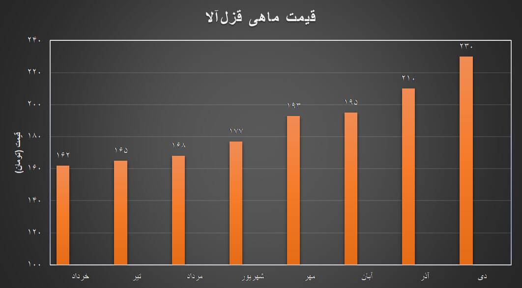 ماهی را هر وقت از بازار گرفتیم گران بود