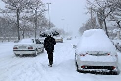 برف و باران سراسر استان اردبیل را در بر می‌گیرند