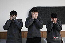 دستگیری ۱۵ نفر از اراذل و اوباش پایتخت