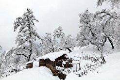 بارش برف و باران مازندران را در بر می‌گیرد