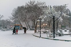 در پی بارش برف در گیلان، همه محور‌ها باز است