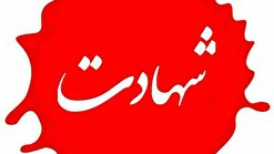 ۵۲۹ شهید استان زنجان در ماه اسفند به شهادت رسیدند