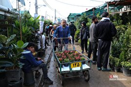 بازار گل و گیاه شهید محلاتی تهران