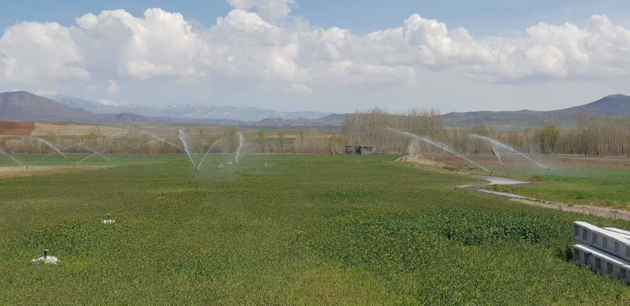 تجهیز بیش از 1000 هکتار از زمین‌های کشاورزی اردبیل به سیستم آبیاری تحت فشار