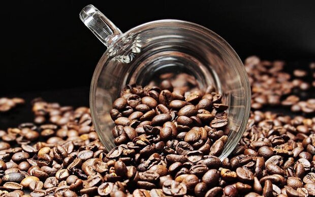 واردات قهوه 75 درصد افزایش یافت