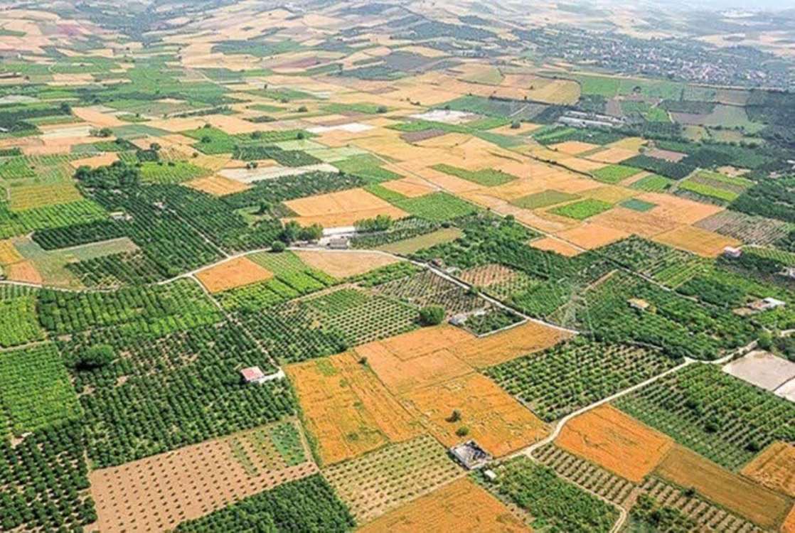 افزایش 5054 درصدی تجمیع و یکپارچگی اراضی کشاورزی در دولت سیزدهم / رشد 922 درصدی رفع تداخلات اراضی