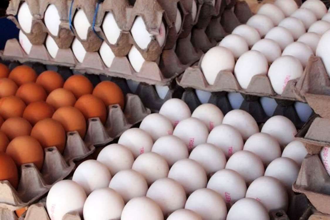 ارزآوری صادرات تخم‌مرغ 5 تا 6 برابر افزایش می‌یابد