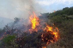 آتش‌سوزی ۲۶۰۰ هکتار از جنگل‌های لرستان را خاکستر کرد