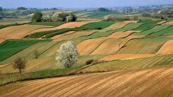 رفع تداخلات اراضی کشاورزی باید به صورت پلاک‌محور صورت گیرد