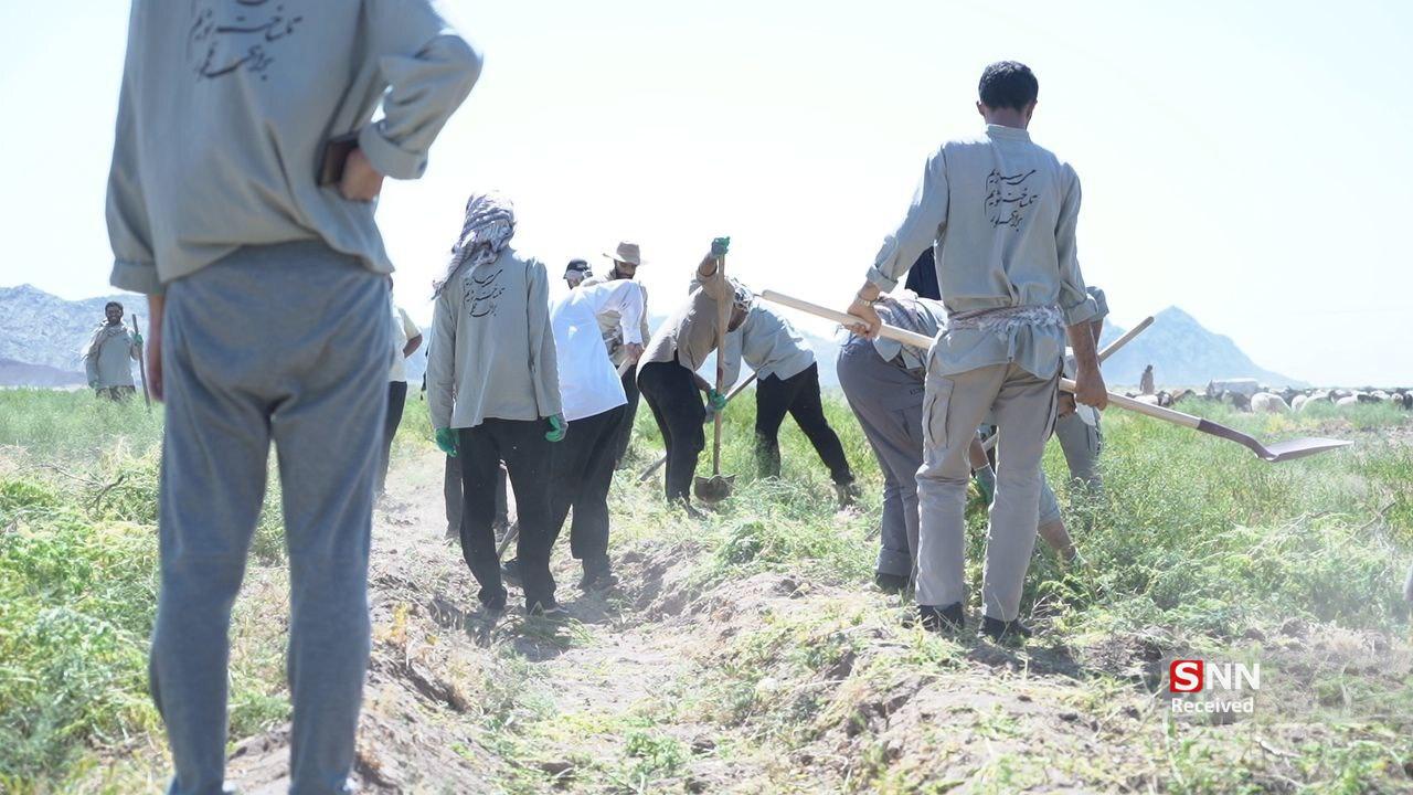 روایتی از «هجرت عشق» دانشجویان جهادگر به مناطق محروم + تصاویر 14