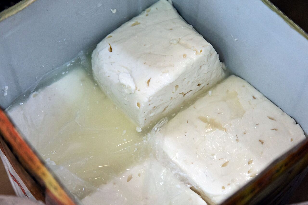 هیچ مجوزی برای تولید پنیر از شیر الاغ صادر نشده است