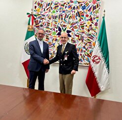 دیدار دستیار وزیر امور خارجه ایران و مدیرکل منطقه ای وزارت خارجه مکزیک
