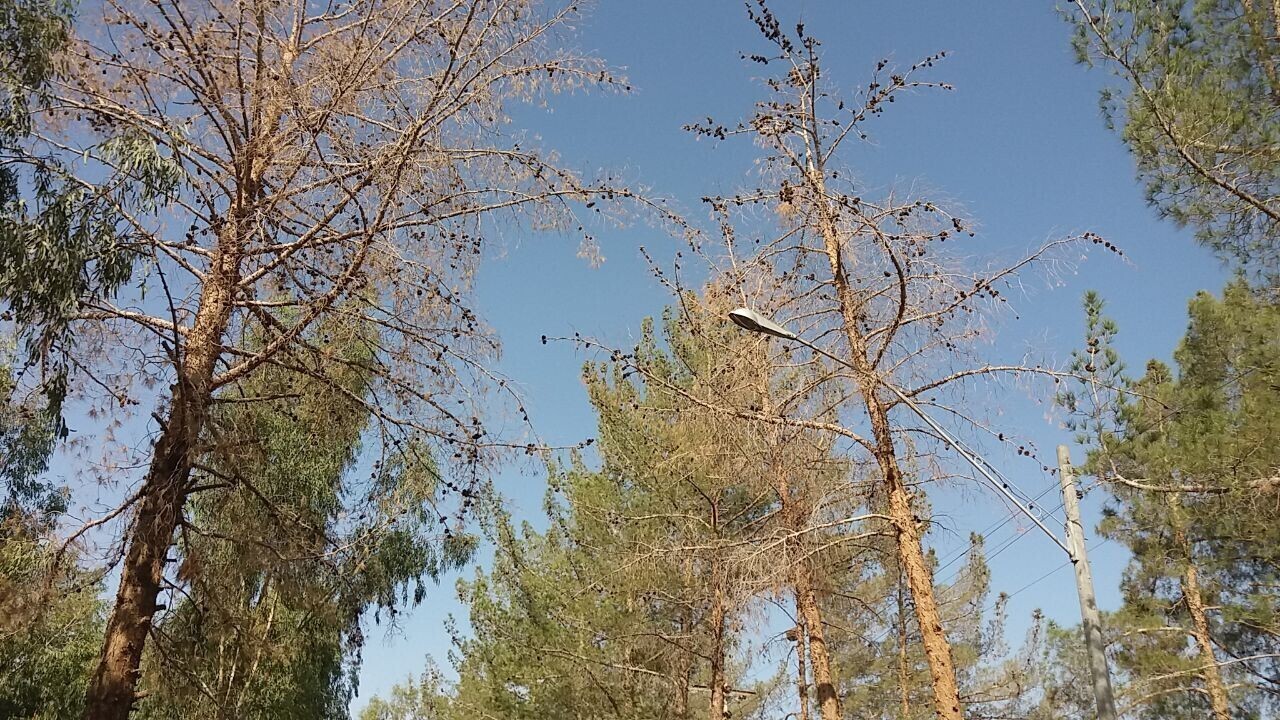 مطالبات مردمی؛ از حضور اهالی فاز دو خاوران در تهران تا پرونده تخریب استخر معادن نطنز